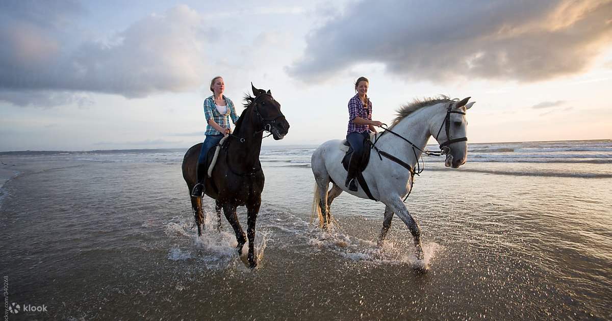 Horse Riding Combo Experience in Bali Klook Singapore